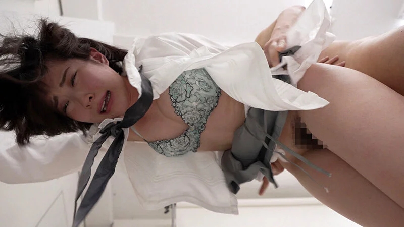 こぐま3周年MEMORY SEXライフisビューティフル 女の子の素100％！！ 480分スペシャル