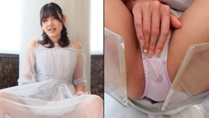 スカートもぐりMANIAX エレガントな淑女のロングスカートの中身を隅々まで観察！ ギャラリー 2