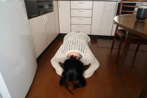 【VR】Hカップ人妻、借金返済の土下座からまさかの妊活！着床するまで何度も搾精！九井スナオ 【8K】 ギャラリー 2