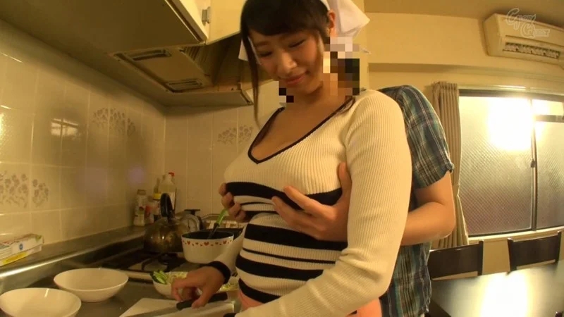 ボイン大好きしょう太くんのHなイタズラ 春菜はな