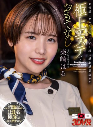 【VR】SOD入社2年目柴崎はる お世話になっているユーザー様に誠心誠意込めた極上エステでおもてなし ギャラリー 1