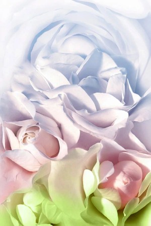 胡桃さくら 最高級 美少女ソープ ギャラリー 3