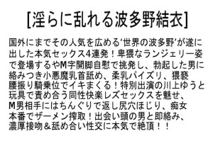 【お得セット】淫らに乱れる 風間ゆみ 波多野結衣 篠田あゆみ ギャラリー 4