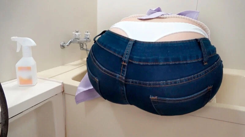 色白デカ尻の家事代行おばさんに即ハメ！デカチンの虜になった人妻が翌日勝手に押しかけてきたので満足するまで何度も中出ししてあげた5th BEST 人妻6名収録！！ 2枚組10時間！！