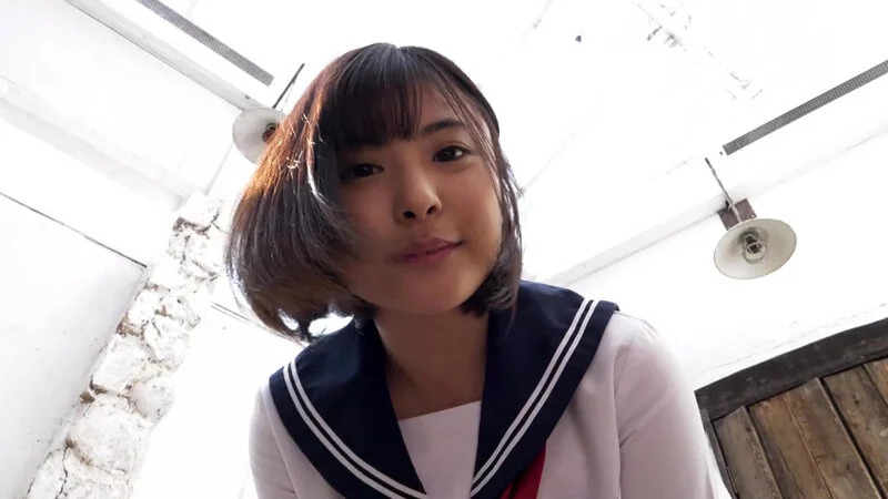 似鳥日菜 / ひな日和