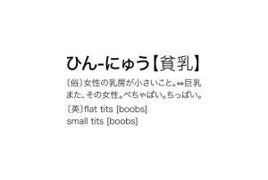 【12人の貧乳美少女】ちっぱい 1 おっぱい星人って巨乳が好きって意味だけじゃない ギャラリー 3