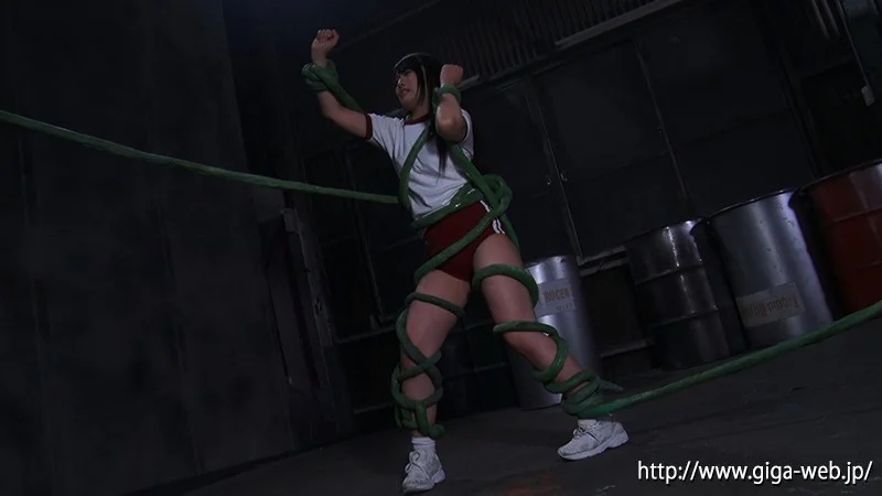 魔法皇女アイ ～魔法皇女触手陥落～ 藍川みれい