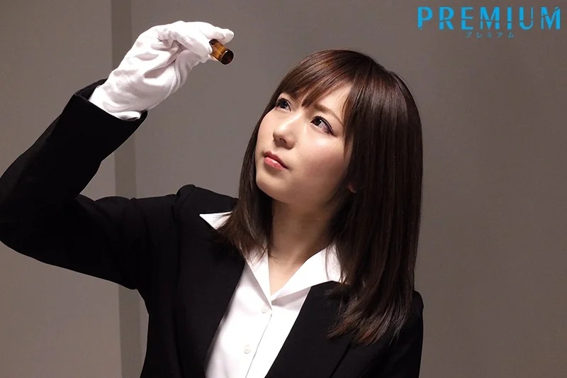 手が届かないなら引きずり堕ろせばいい。お高い女を中出し輪●・レ×プ8時間