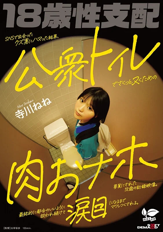 SNSで出会ったクズ男にハマった結果、公衆トイレでさくっとヌくための肉おナホ要員にされた18歳の記録映像。最終的に都合のいいように扱われ続けて涙目になるまでマワしつくされる。 寺川ねね