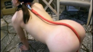 変態肉便姫 谷田かりな ギャラリー 11