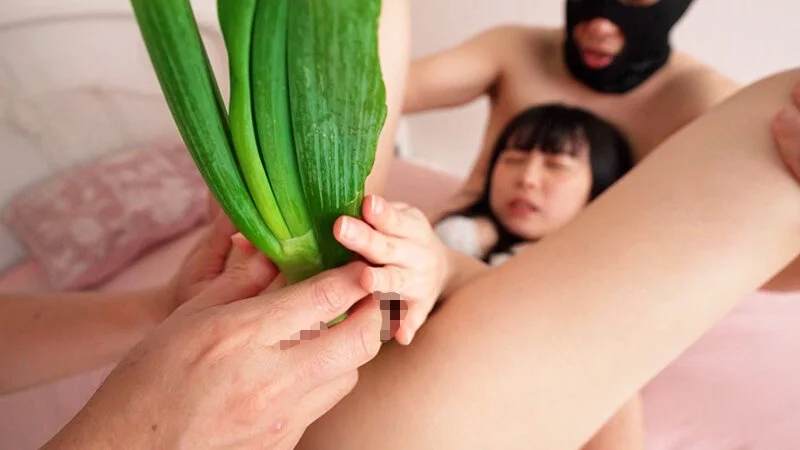 ボニータBEST3 10時間