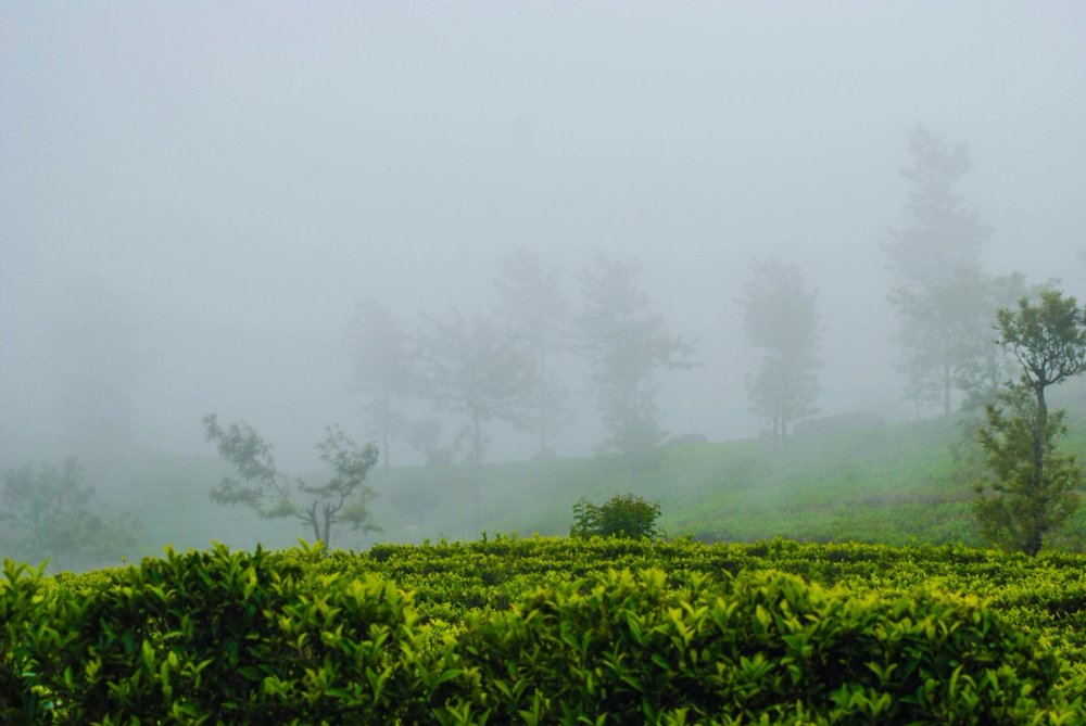 Traditional rural village life and verdant forest trails