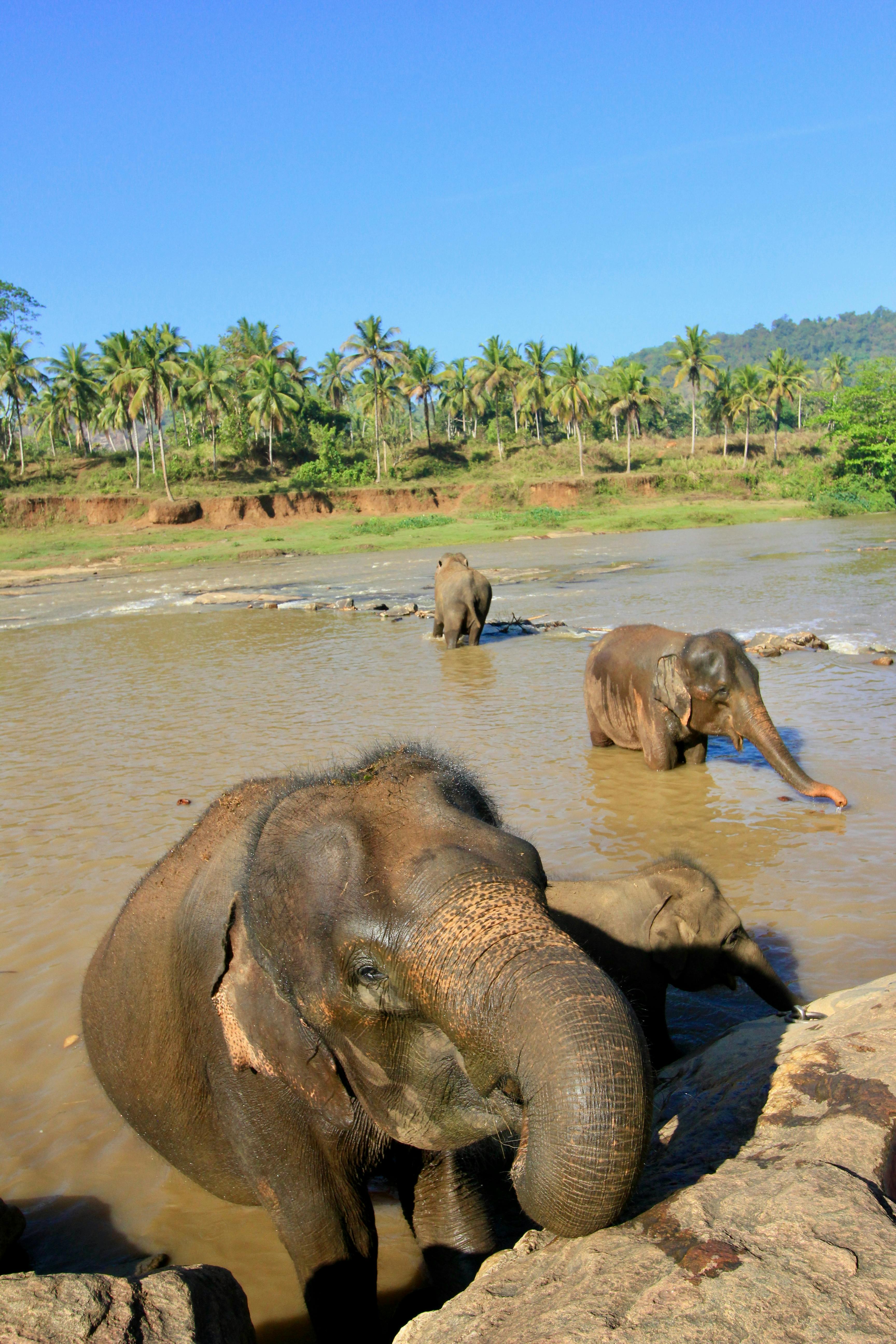 Cinnamon Valley Hosted Journeys