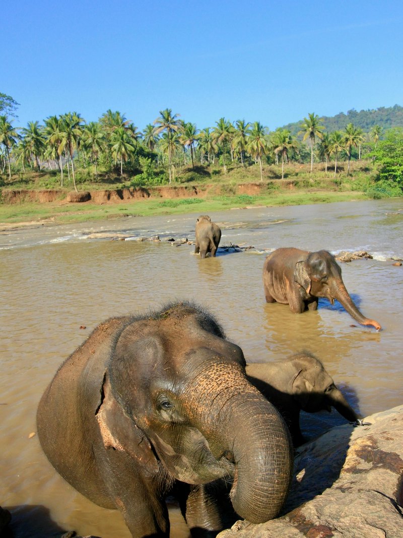 Cinnamon Valley Hosted Journeys