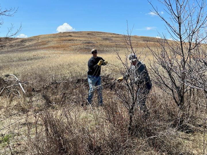 Clearing the Way for Wildlife-friendly Fencing in North Dakota