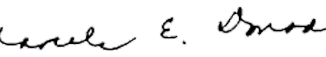 Signature of Marcela E. Donadio