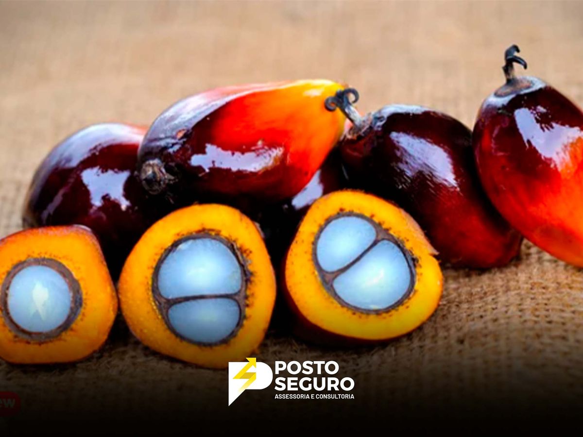 Transformação sustentável: Natura investe em óleo de palma agroflorestal