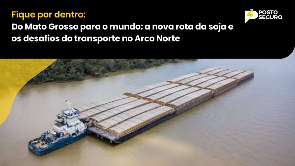 Do Mato Grosso para o mundo: a nova rota da soja e os desafios do transporte no Arco Norte