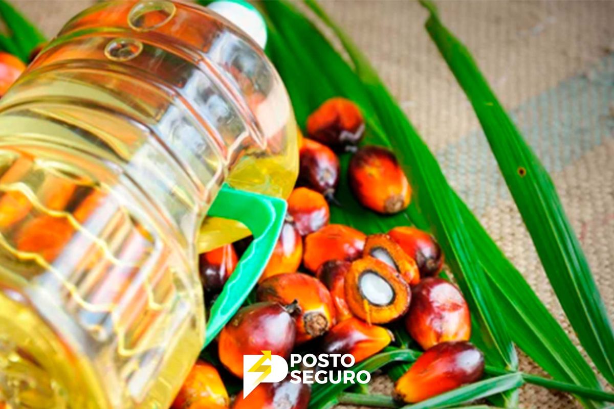Óleo de Palma é a matéria-prima para a produção dos biocombustíveis de segunda geração