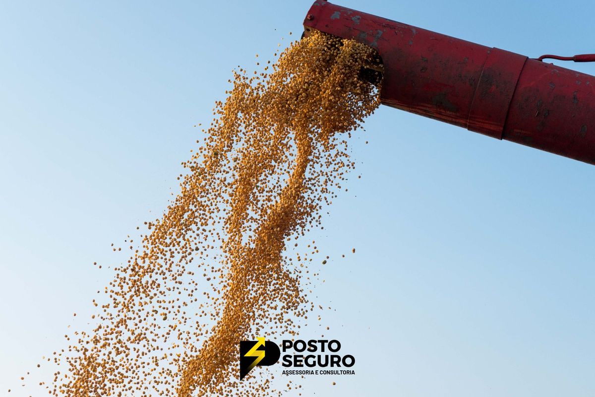 Indústria de óleos vegetais projeta investimento de US$ 10bi em biocombustíveis