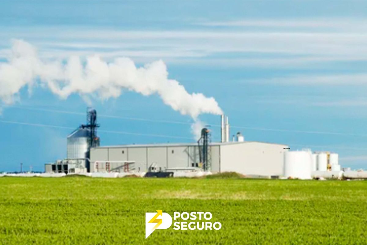 Etanol: solução brasileira para a transição energética do mundo