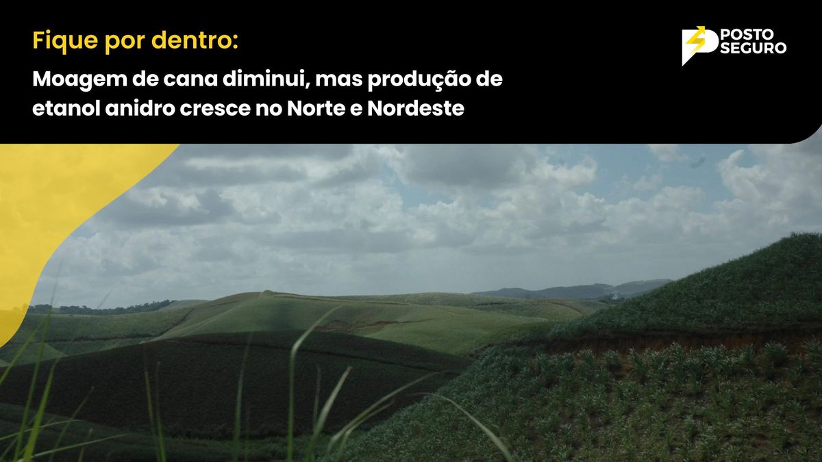 Moagem de cana diminui, mas produção de etanol anidro cresce no Norte e Nordeste
