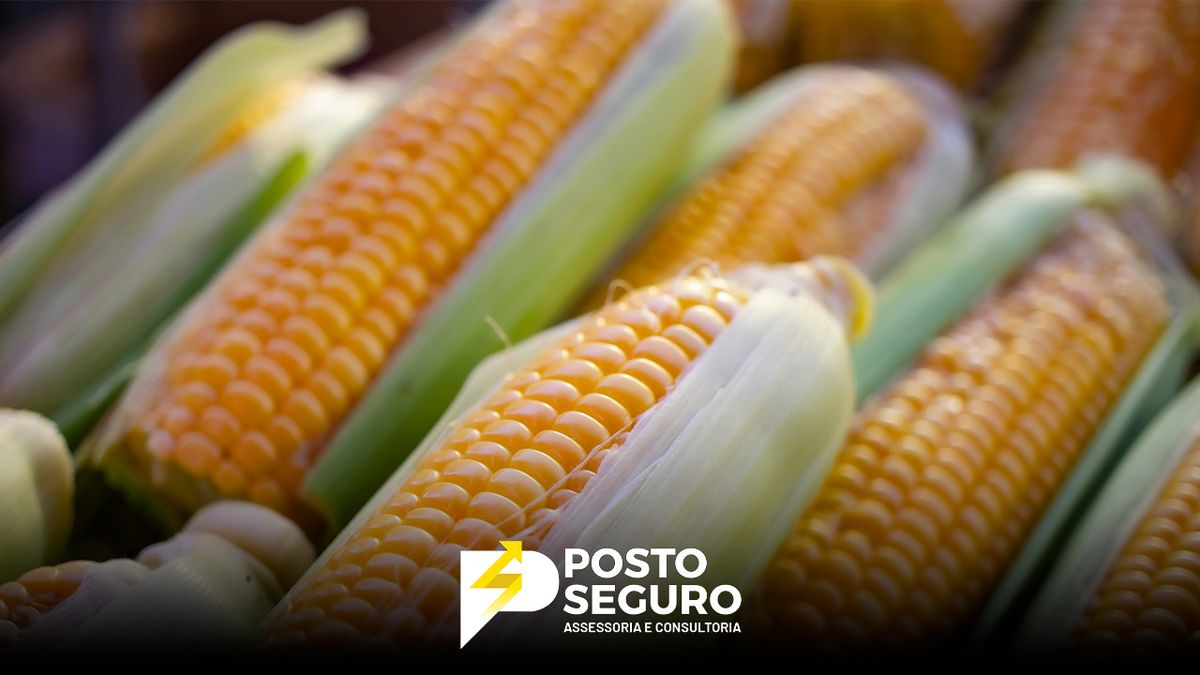 Brasil lidera exportação de 7 alimentos!