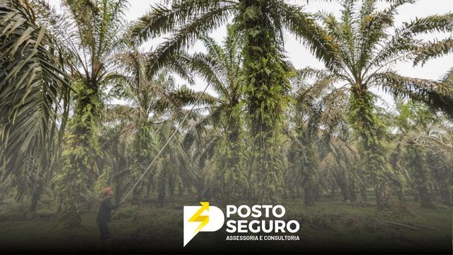 Ativar alertas Consumo de biocombustível em dobro do que se produz indicia fraude