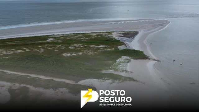 Em carta ao Itamaraty, ambientalistas pedem que Brasil se posicione contra petróleo na Amazônia