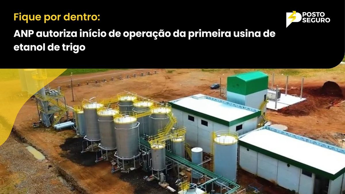 ANP autoriza início de operação da primeira usina de etanol de trigo