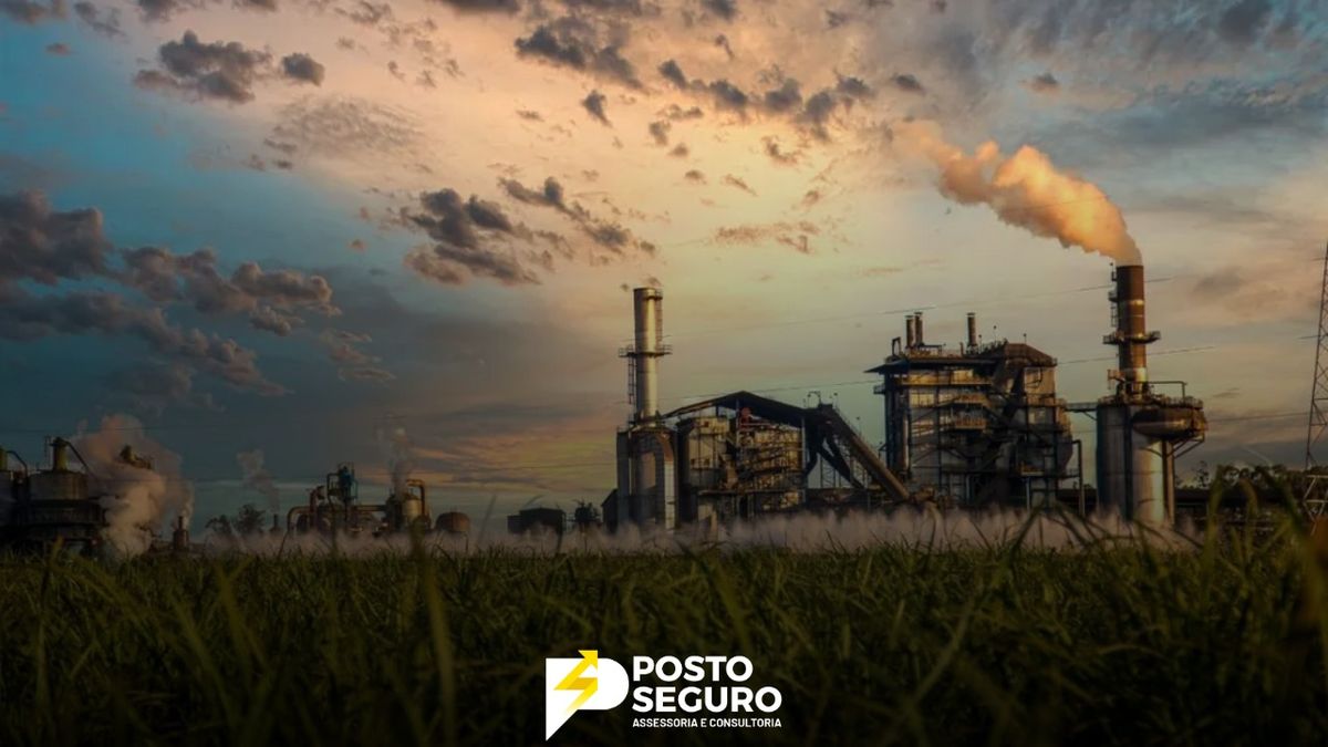 Cana-de-açúcar: A Terceira Maior Fonte de Energia Elétrica no Brasil