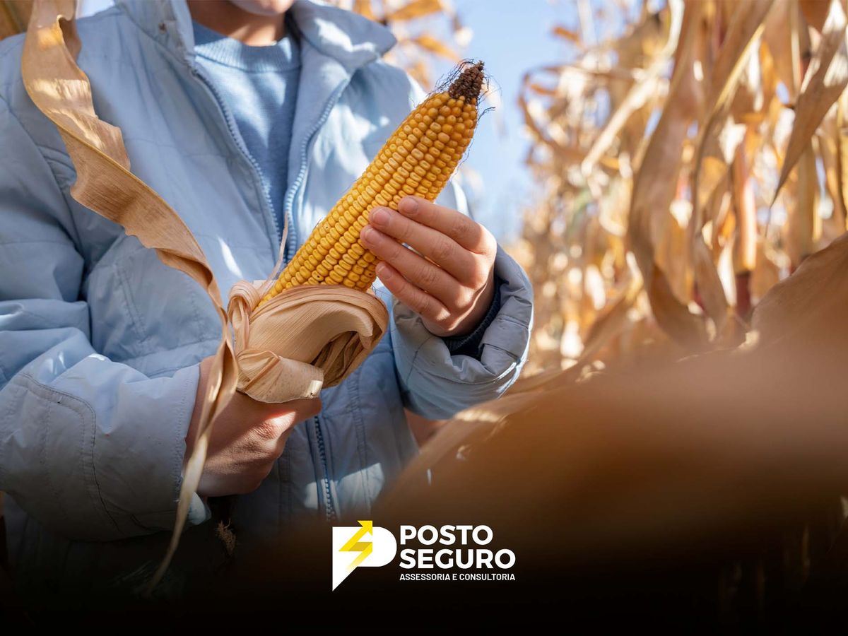 Expansão sustentável: O crescimento do etanol de milho no Brasil