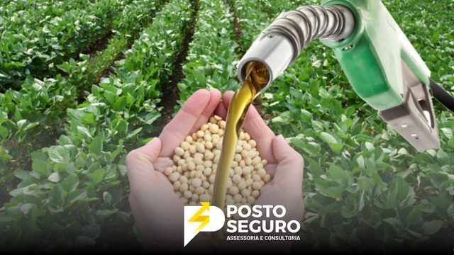 Apesar de safra recorde, pode 'faltar' soja no Brasil antes mesmo do que se esperava; prêmios positivos no 2º semestre