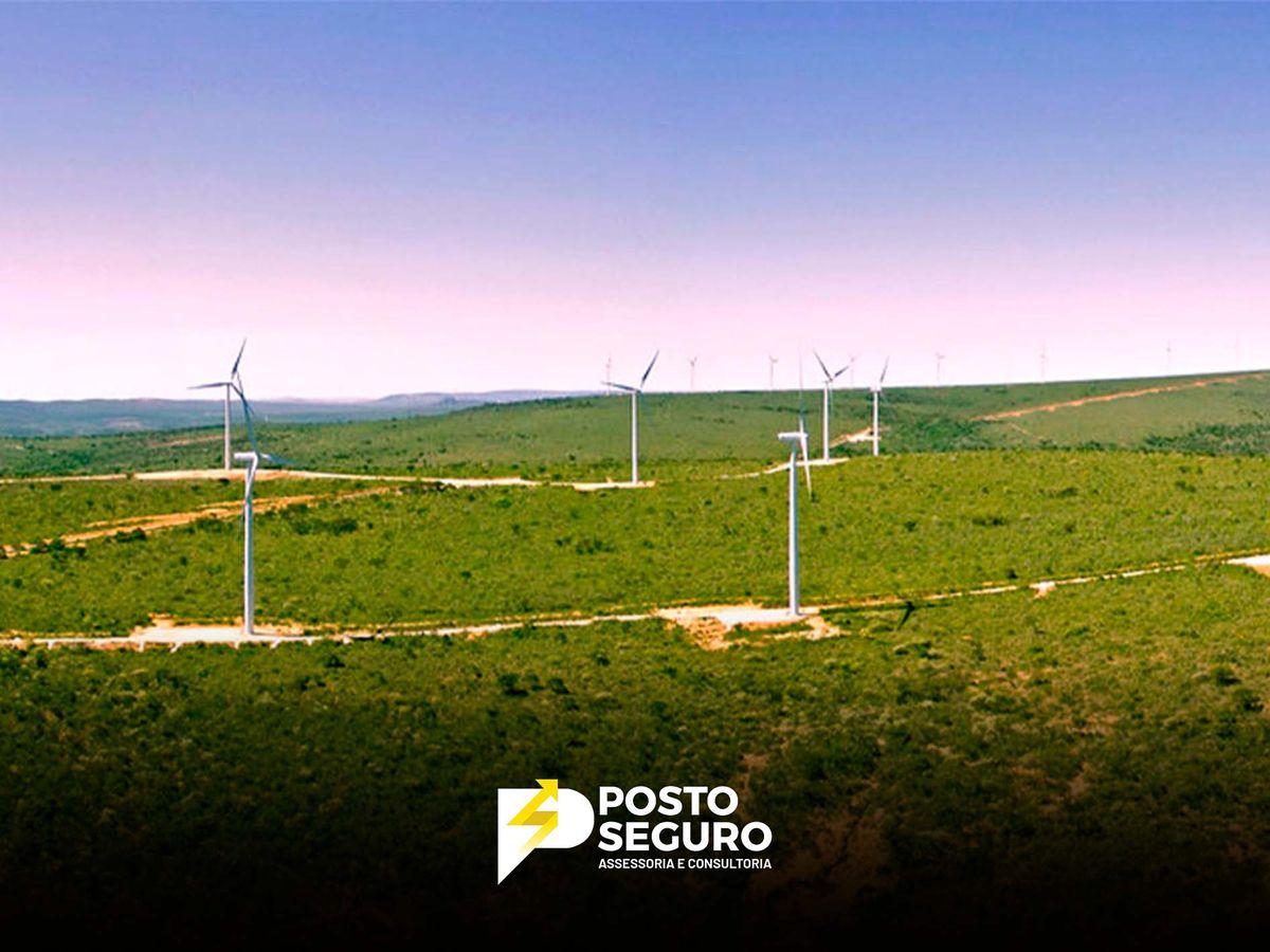 Nordeste é líder em energia eólica e investimentos bilionários