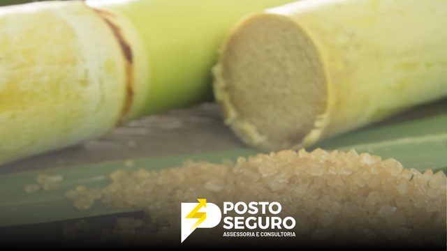 Moagem de cana na Índia registra quebra média de 25% em 200 usinas