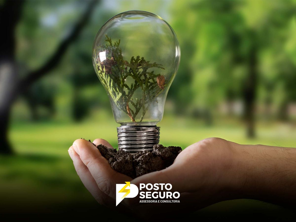 Brasil lidera investimentos globais em energia limpa