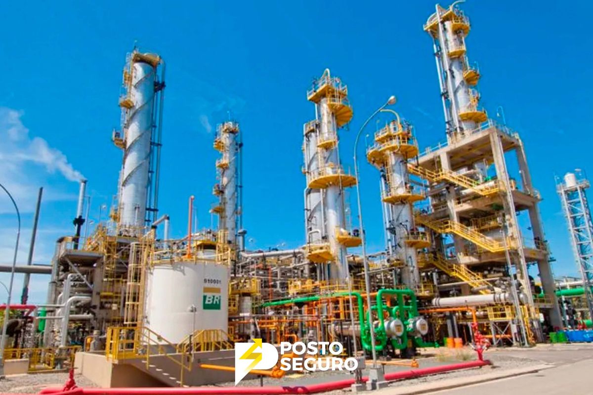 Matérias-primas, energia e produtos renováveis: a transição energética que se aproxima