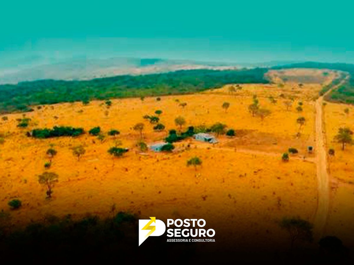 Brasil mirando os top 5 na produção de terras raras: perspectivas do ministério de Minas e Energia