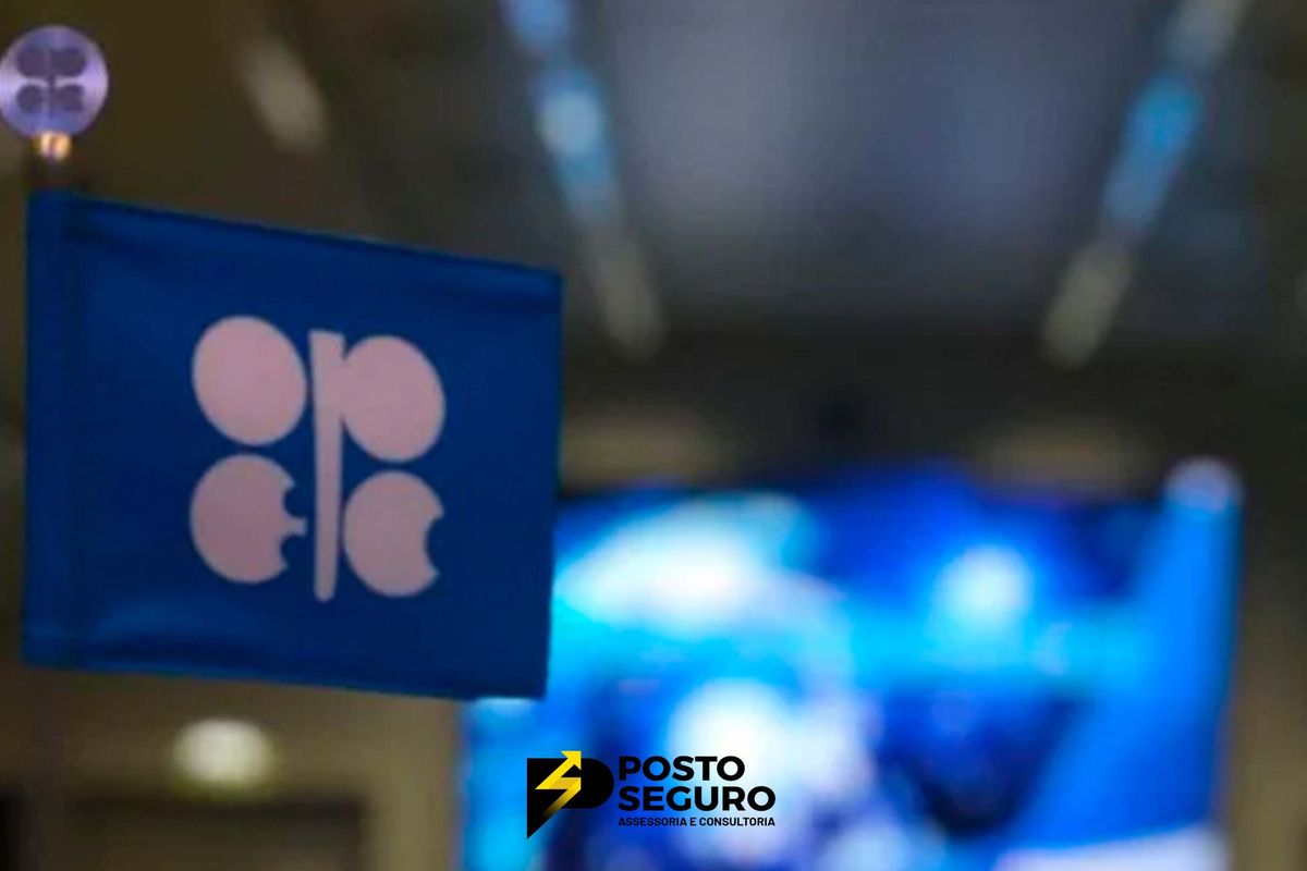 Mensagem pessimista sobre o petróleo na apresentação do principal negociante de swap