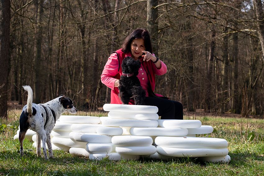 Image title for Dog plinths