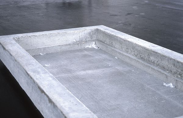 Cover image for Feather bed