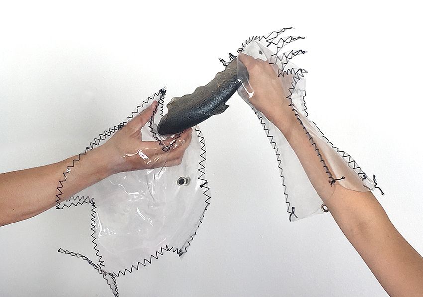 Image title for Predatory fish puppets