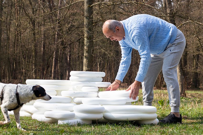 Image title for Dog plinths