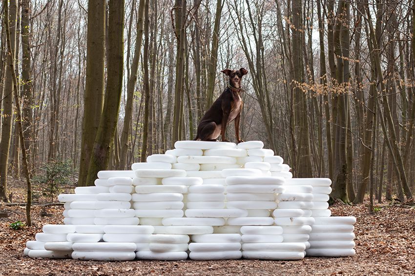 Image title for Dog plinths