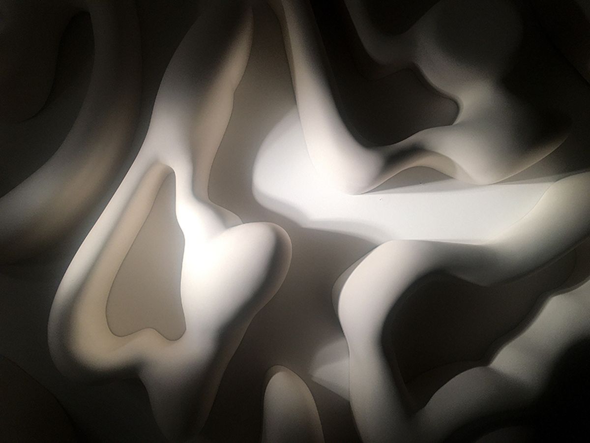 Image title for Soft Forms - Relief