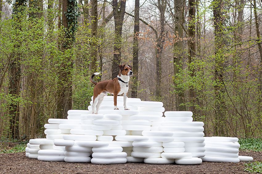 Image title for Dog plinths