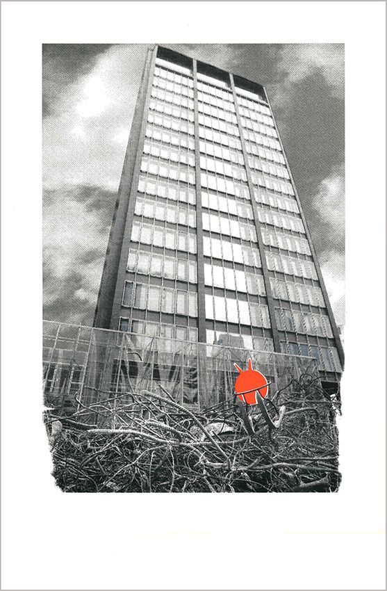 Image title for Toboggans on building sites