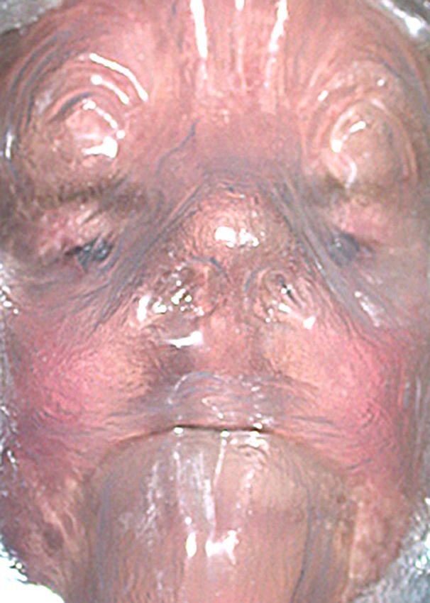 Image title for Transparent puppet theater