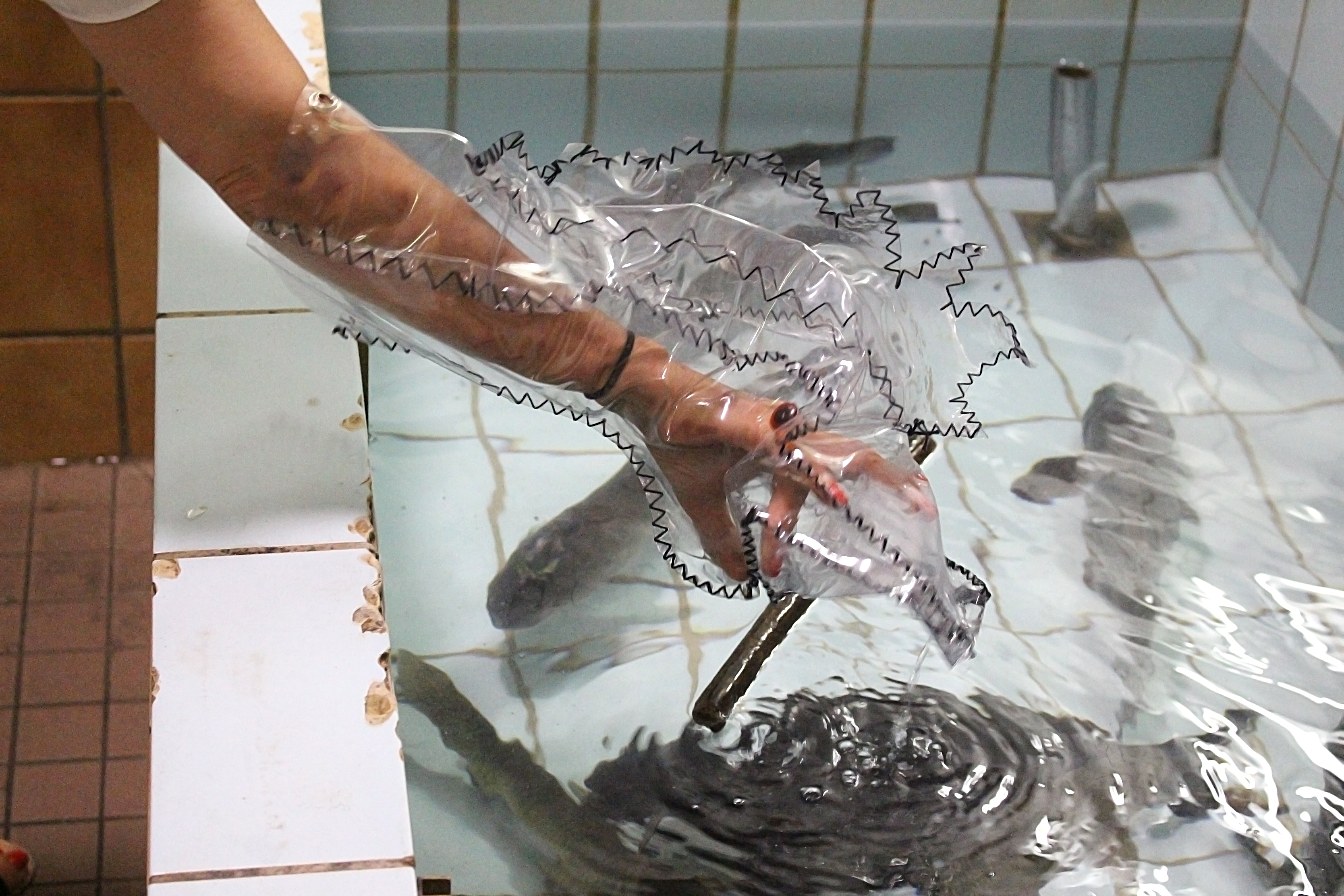 Image title for Predatory fish puppets