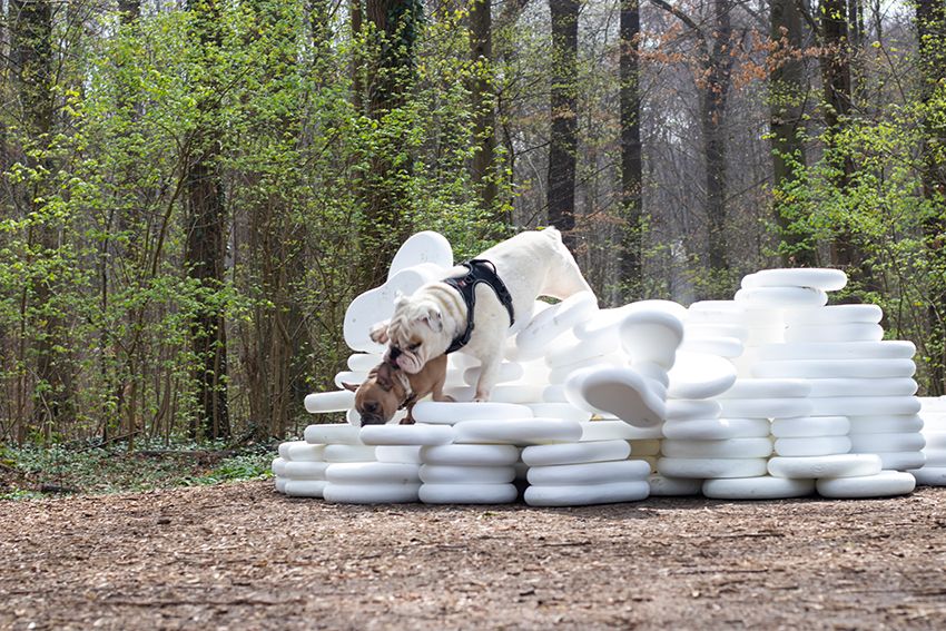 Image title for Dog plinths
